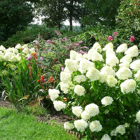 Marias Ferienhaeuser By Interhome * Ostrowiec (Mysliborz)