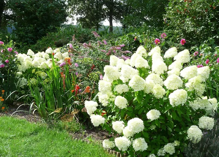 Marias Ferienhaeuser By Interhome * Ostrowiec (Mysliborz)